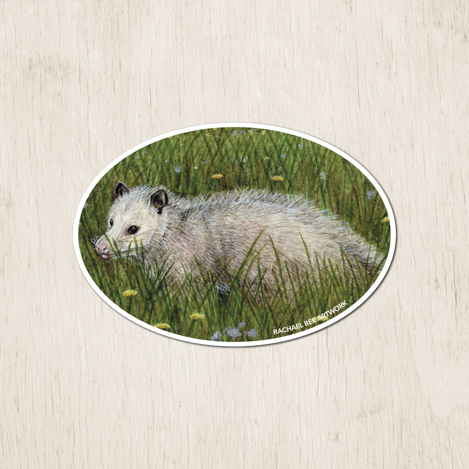 &quot;Henrietta the Opossum&quot;