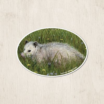 &quot;Henrietta the Opossum&quot;
