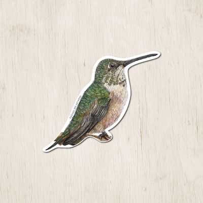 &quot;Sella the Rufous Hummingbird&quot;