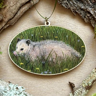 &quot;Henrietta the Opossum&quot;