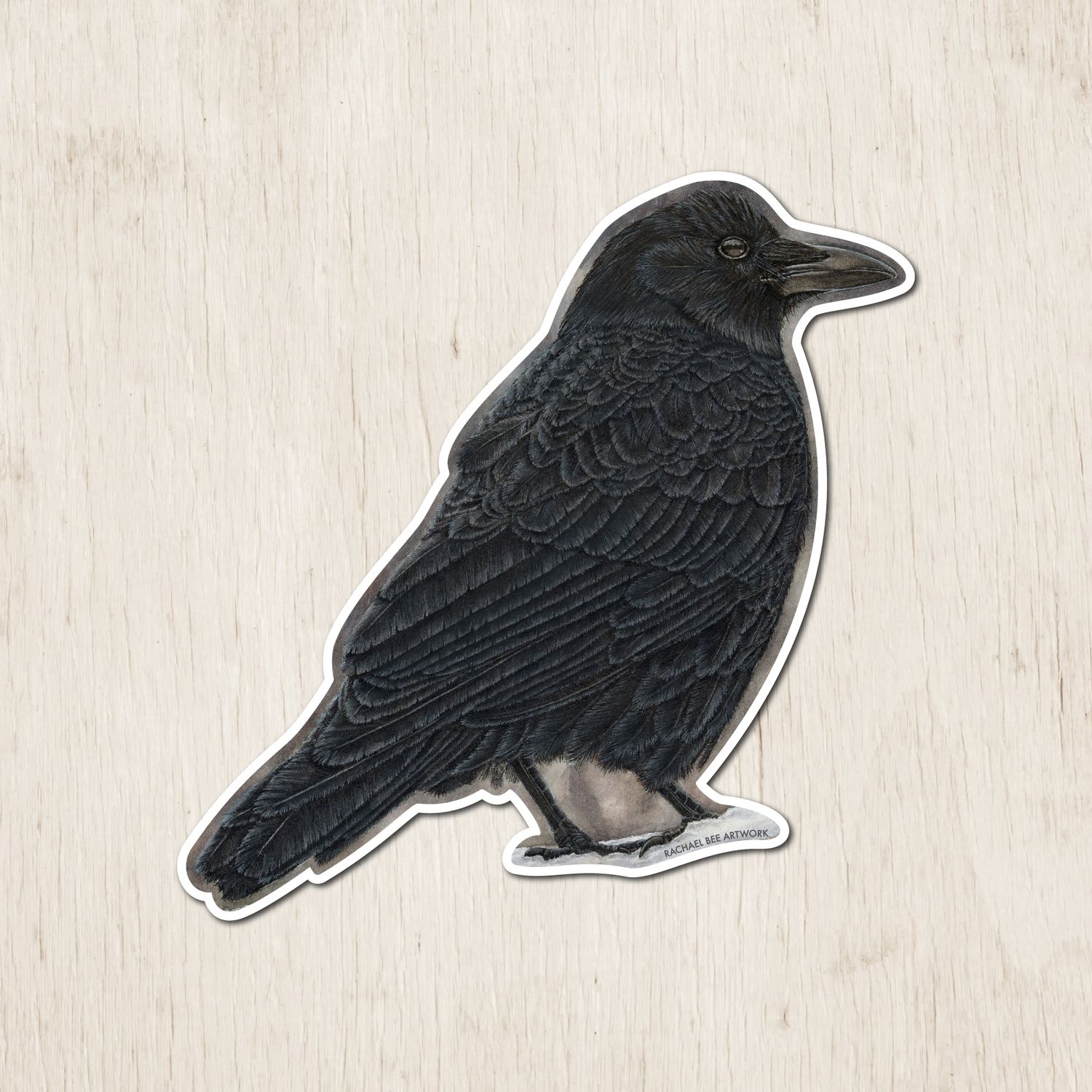&quot;Violet the American Crow&quot;