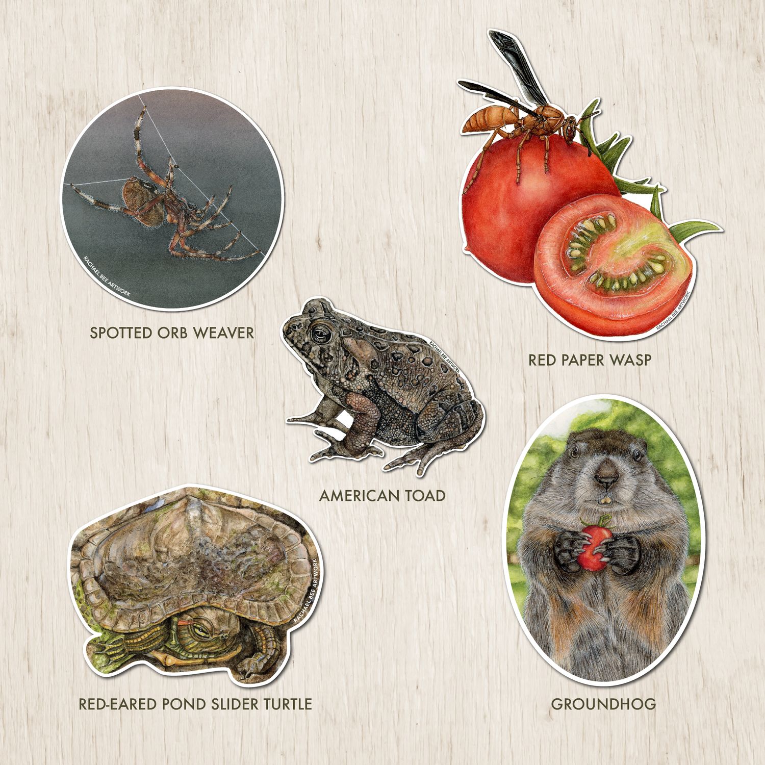 Build a Sticker Bundle