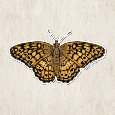 &quot;Jackie the Variegated Fritillary Butterfly&quot;