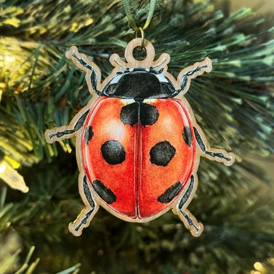 "Margaret the Ladybug"