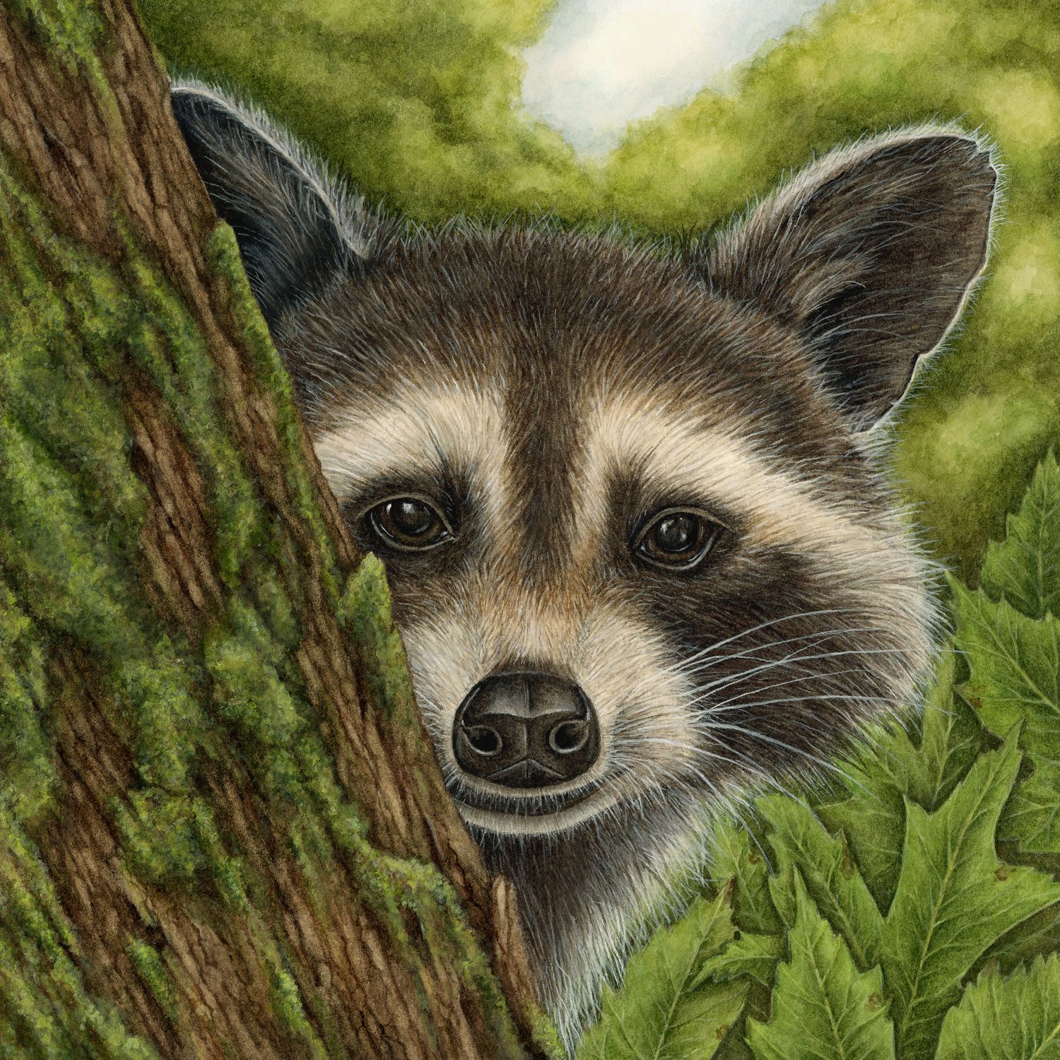 "Randy the Raccoon"