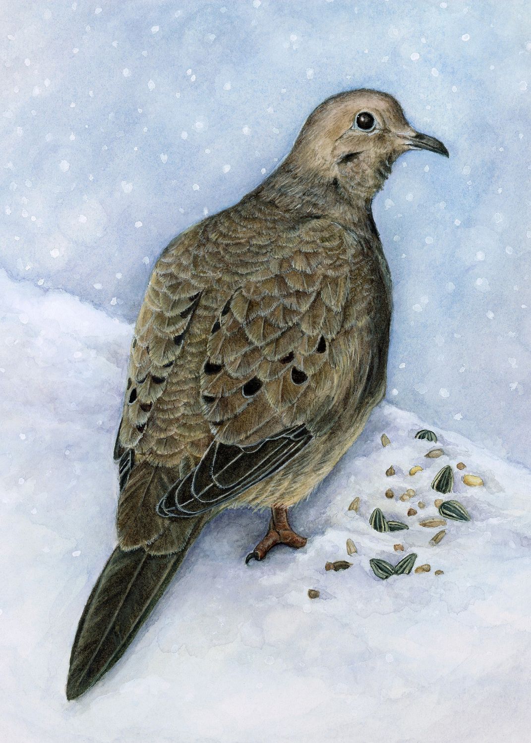 "A Winter's Mourning"