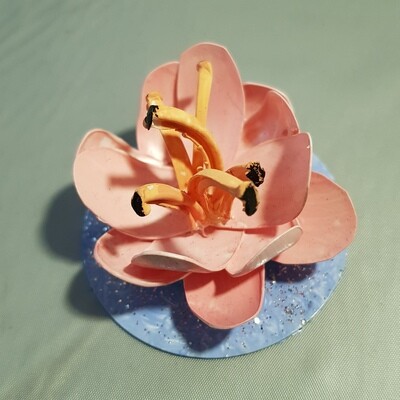 Pink Water Lilly