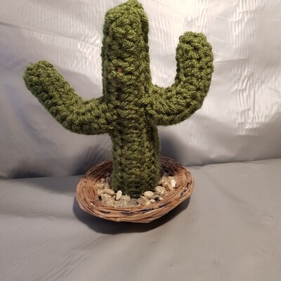 Two arm cactus