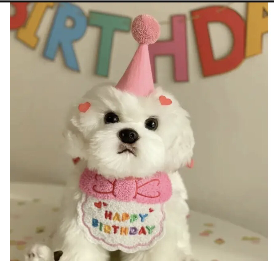 Pink Happy Birthday Bib For Pet