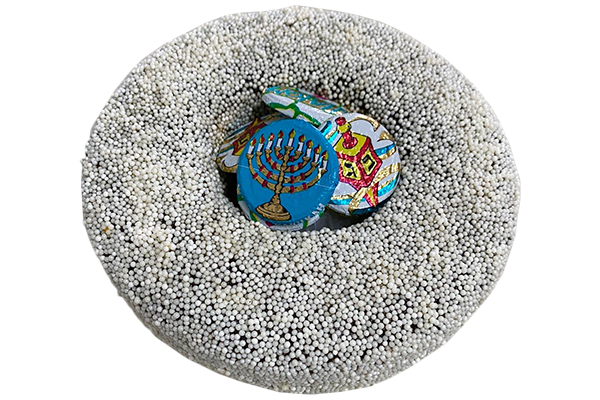 GARIBALDI DE CHOCOLATE CON MONEDAS DE JANUCA