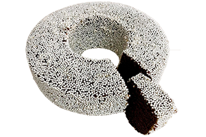 GARIBALDI DE CHOCOLATE