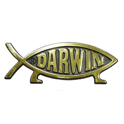 3&quot; (8 cm) Darwin Fish Magnet - Silver Chrome Finish (10 pack)