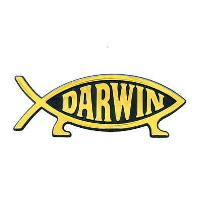3&quot; (8 cm) Darwin Fish Refrigerator Magnet - Gold Finish (10 pack)