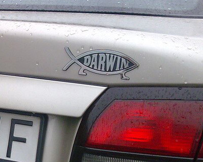Darwin Fish Stick-on Car Emblem, ABS (10-Pack)