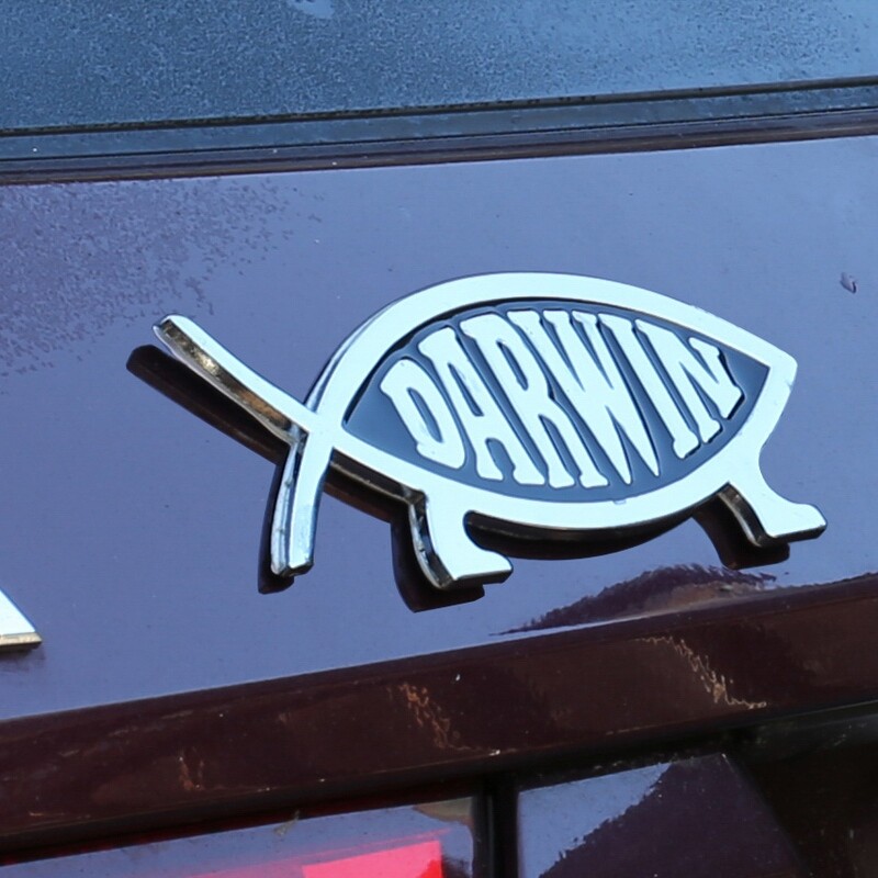 Solid Metal Darwin Fish 3D Stick-on Emblem (single item)