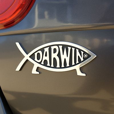 5" All Metal Darwin Fish Car Emblem (single)