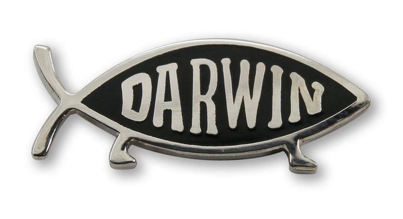Darwin Fish Pin, Silver Finish (single item)