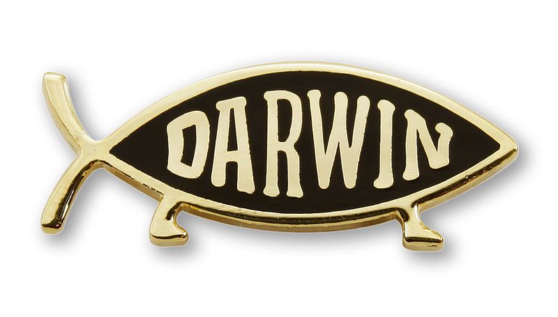 Darwin Fish Pin, Gold Finish (single item)