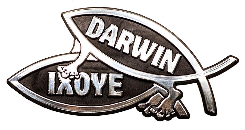Procreation Fish Car Emblem/DARWIN, 4.5in, ABS (10-Pack)