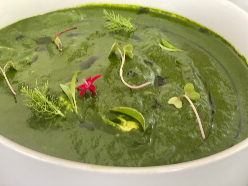 Palak Paneer