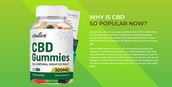 Choice CBD Gummies Review – Effective Product or Cheap Scam Price And Details & Legitimate Reviews! – Gives You More Energy Or Just A Hoax!