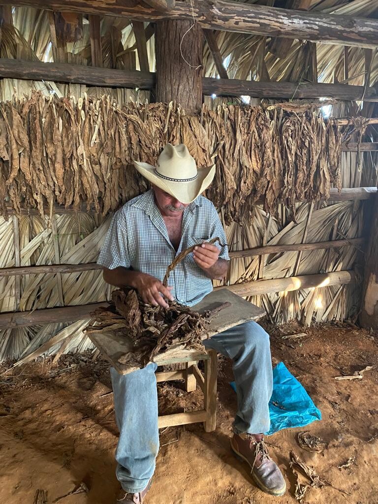 5 x Cohiba Behike 56