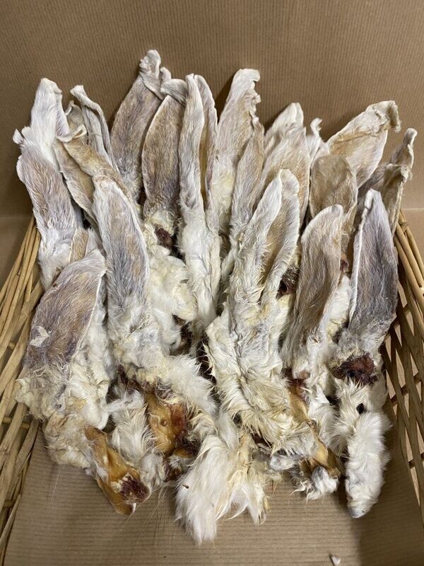 Rabbit ears