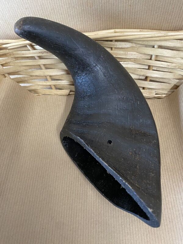 Buffalo Horns