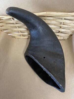 Large Buffalo Horn