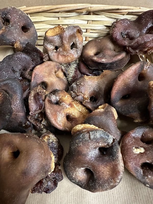 Pig snouts