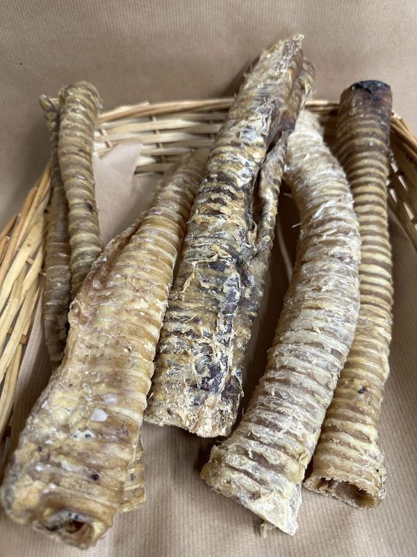 5 Beef Trachea