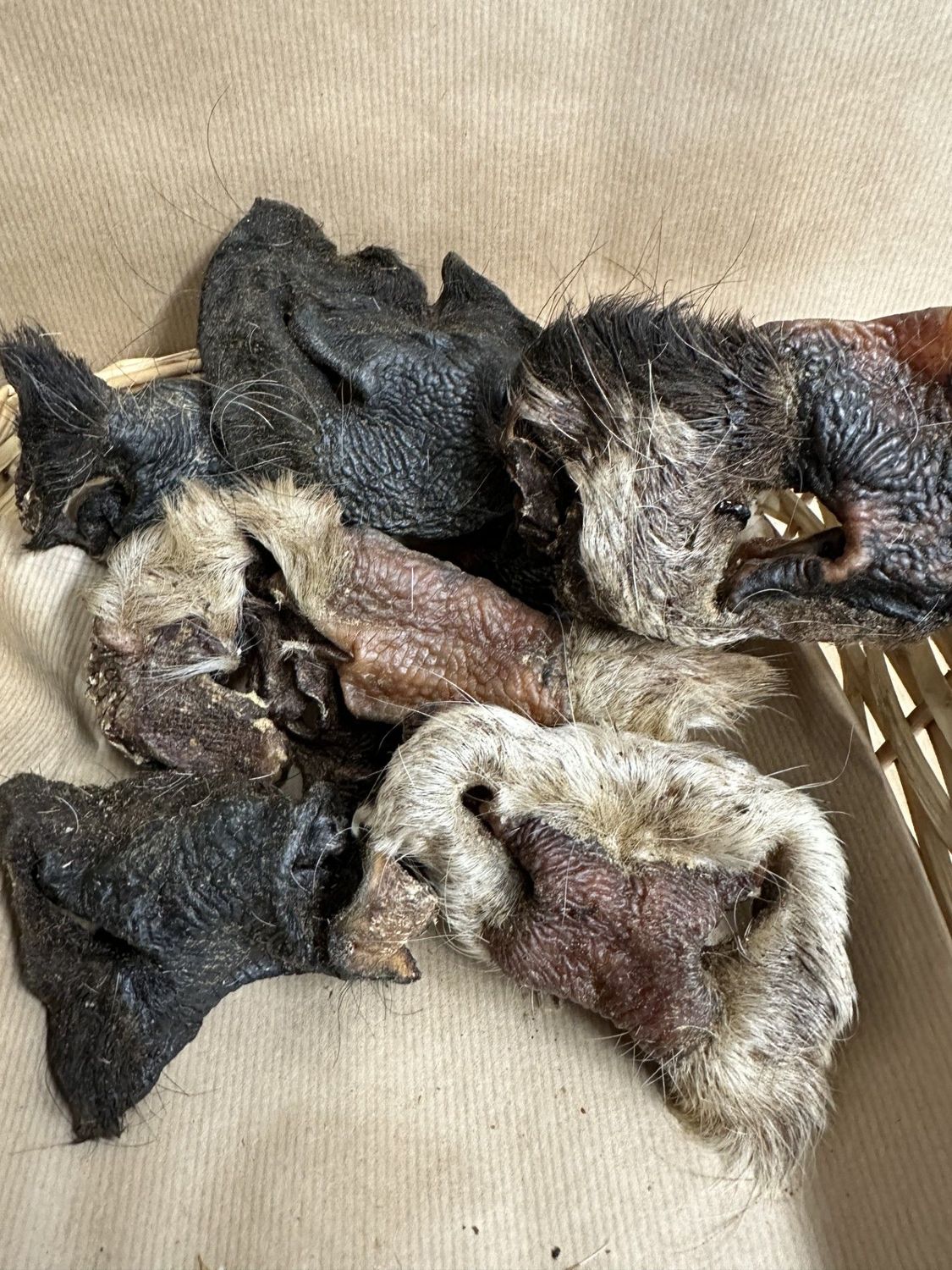 4 Hairy Beef,  Bully Snouts