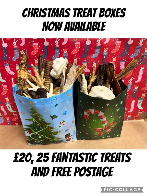 Christmas treat bag