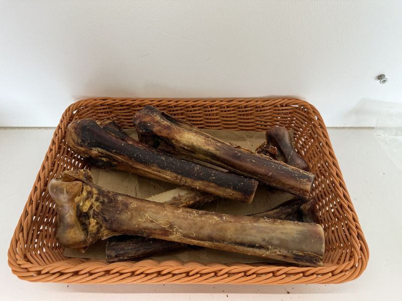 Ostrich bones