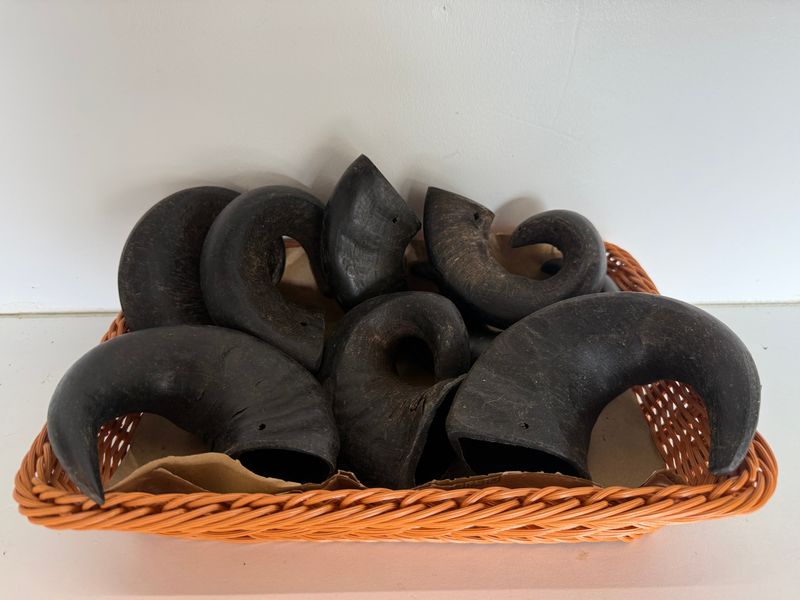 Buffalo Horns