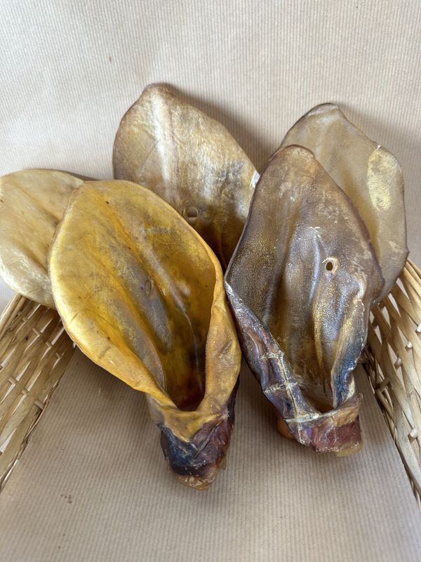 5 Cow Ears