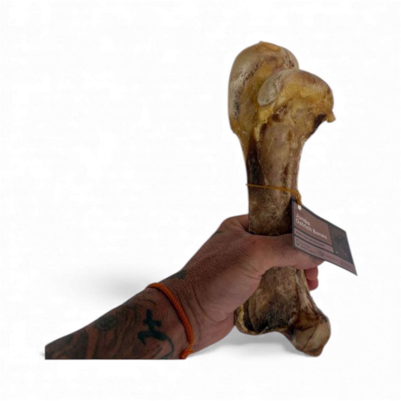 Jumbo Ostrich Bones