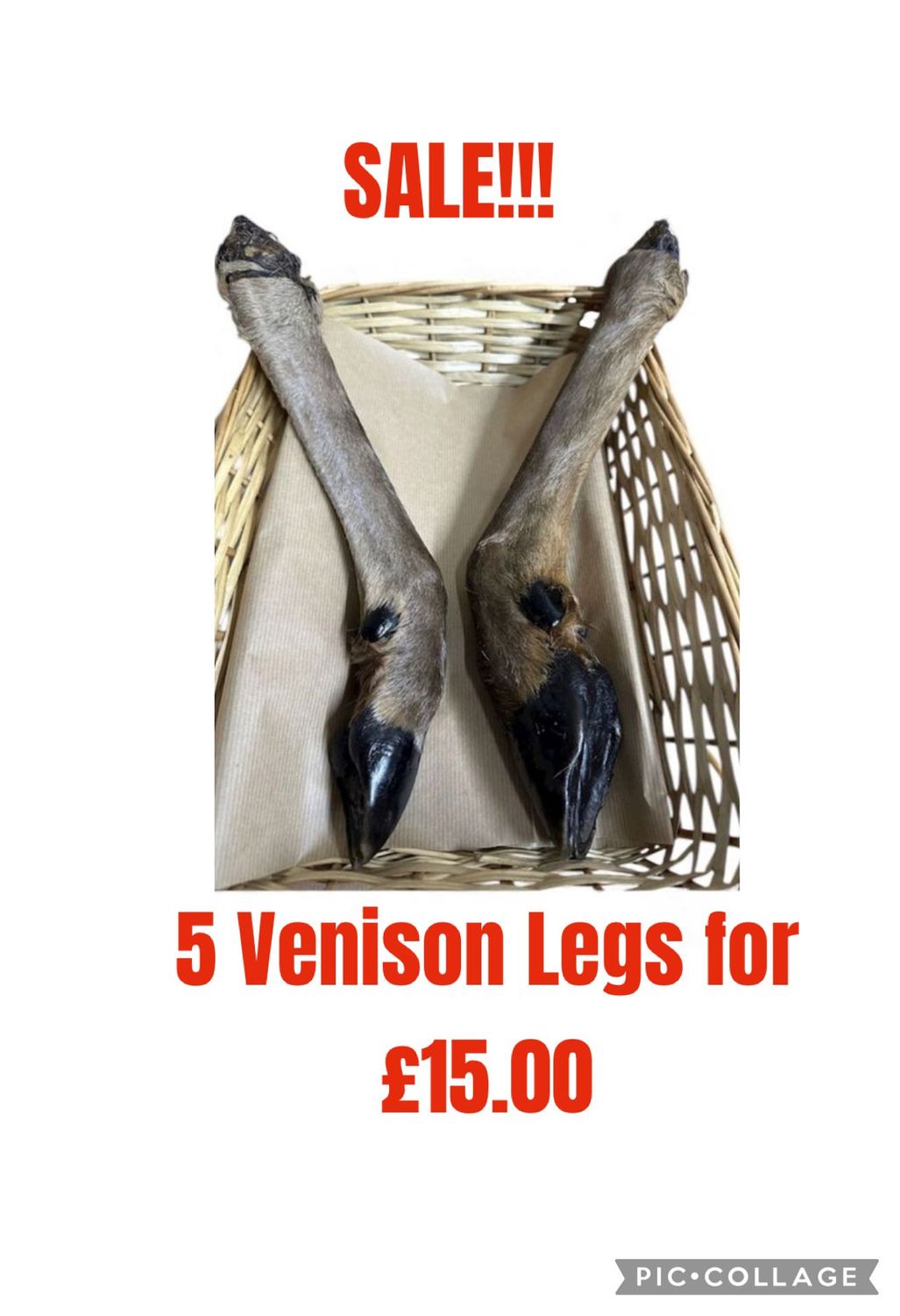 XL Deer, venison leg 5 Pieces