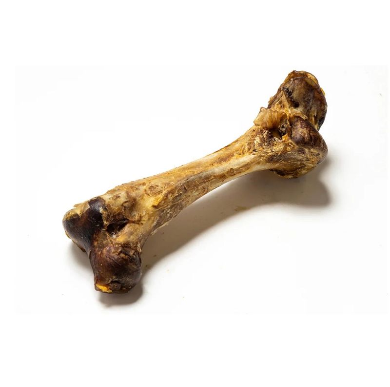 Jumbo Ostrich Bones