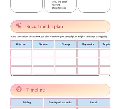 Social media plan