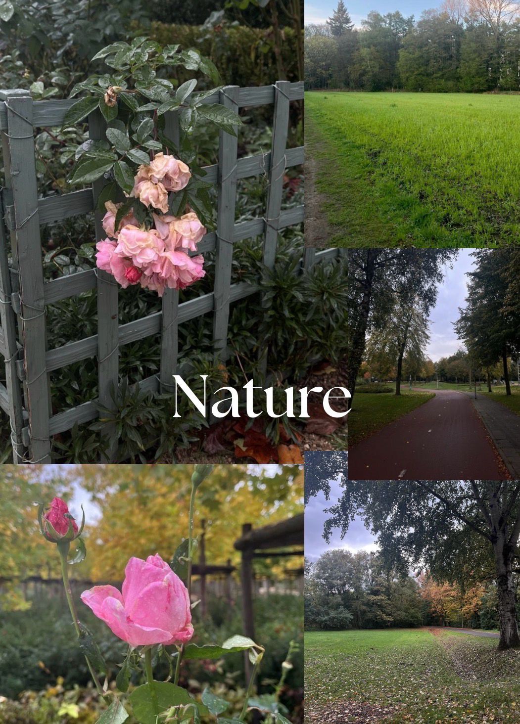 Poster Nature