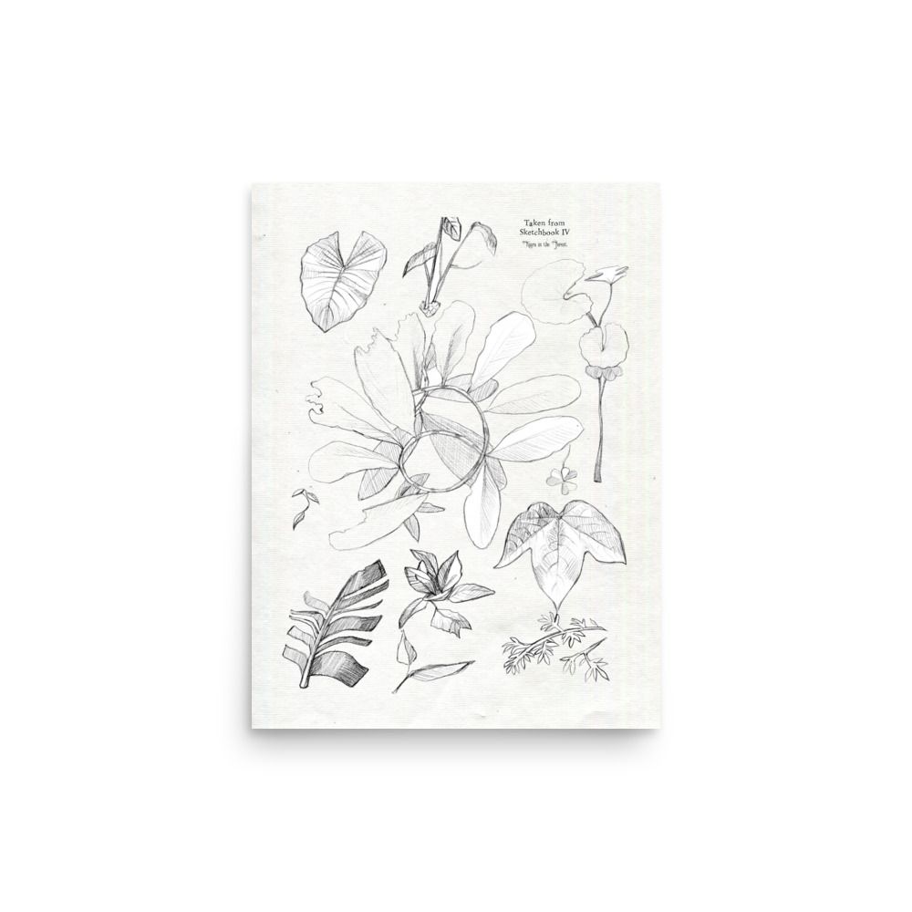 Leaf Studies Sketchbook Page