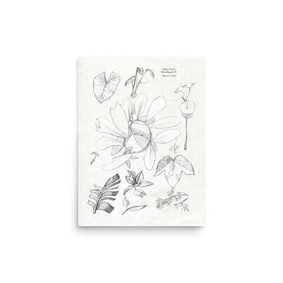 Leaf Studies Sketchbook Page