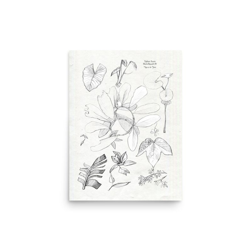 Leaf Studies Sketchbook Page