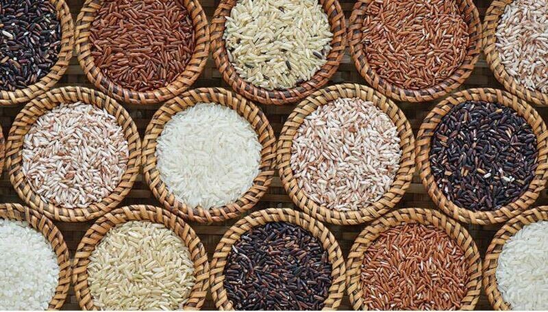 Rice