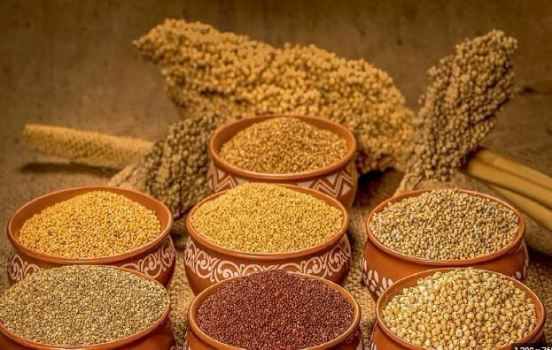 Millet & Rava