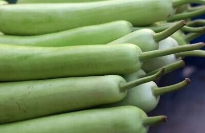 Sorakaya Long Kaddu Bottle Gourd