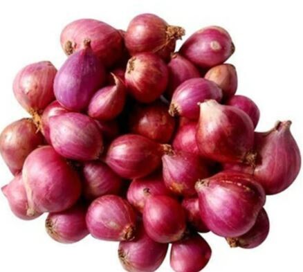 Small Onion