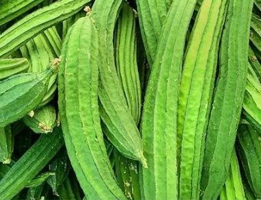 Beerakaya  Ridge gourd Pirkkankai Taroi