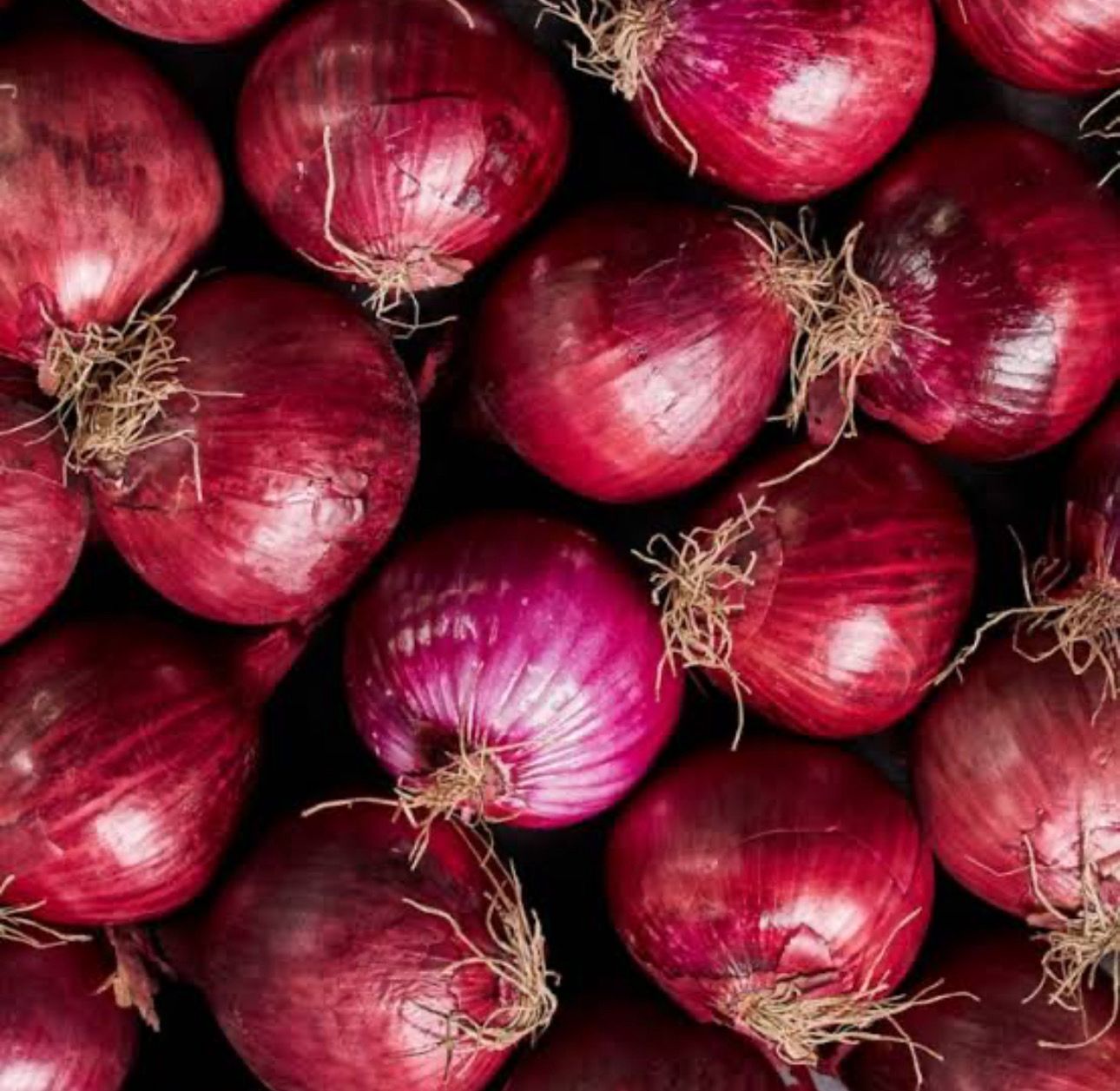 Red Onion